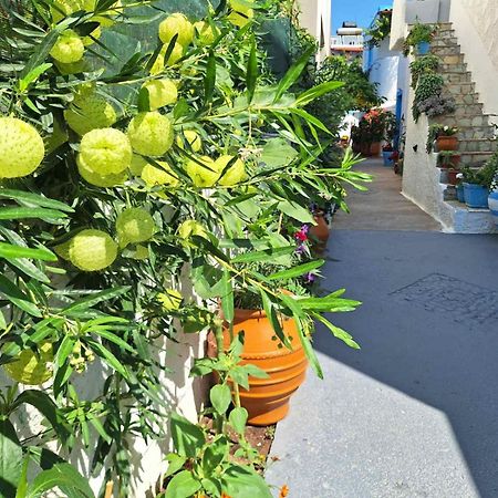 Βig Βlue Apartments Makríjalosz Kültér fotó