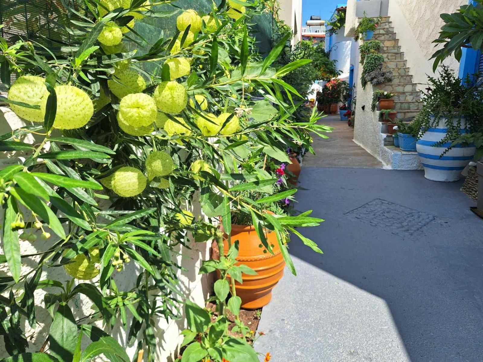 Βig Βlue Apartments Makríjalosz Kültér fotó